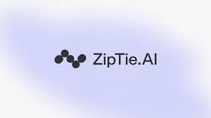 why choose ziptie ai search performance tool​